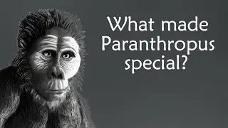 The Genus Paranthropus, the Last of the Ape-People | Paranthropus Evolution | Human Origins