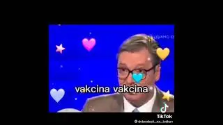 Vucic-Remix
