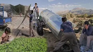 Nomadic Resilience in Action: Ali and Safigol's Triumphant Migration