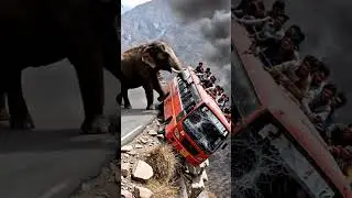 🔥 Insane Attack: The Real Reason This Elephant Struck!