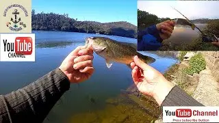 PESCA AO ACHIG&Atilde; TOPWATER  🐟(RIO DOURO) BASS FISHING🎣😎👌