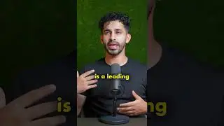 Do Indicators Really Work?