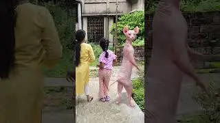 cute cat dancing video || cat videos funny short dance 🥰😺#shorts #funny #trending