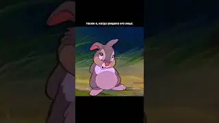 Было? 🐰 #life #aestheic #funny