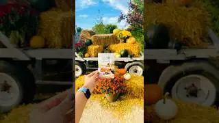 Pineridge Hollow Fall Fair, Manitoba
