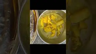 Makar-sankranti bihar m kaise manaya jata hai  #minivlog