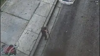 Gta 5 passive mode god mode glitch 1.71