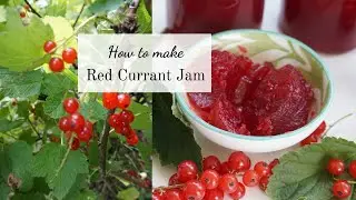 How to make Red Currant Jam | Easy Recipe |