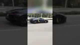 Guy throws rock at Lamborghini