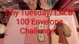 Let's Go!! Tiny Tuesday/T.M.B. 100 Envelope Challenge!! Cash Stuffing $19.00.
