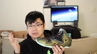 Lebron XI King's Pride w/ On Feet