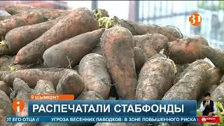 57 тысяч тонн овощей поступило в регионы из стабилизационных фондов