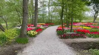 poldertuin annapaulowna   4K