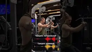 Прочувствуй трицепс по новому👍#фитнес #тренировка  