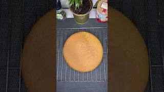 G&acirc;teau 🍊#food #cookingathome #reels #eating #cooking #recipe #arancia #pandispagna #foodie #reel