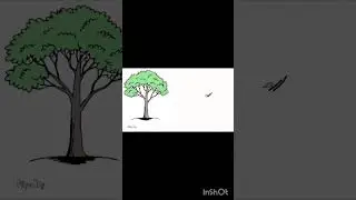 🍃 Drop Leaf Learning Animation | Relaxing Nature Animation | Mobile Animation