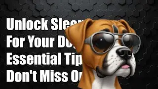 Unlock Better Sleep for Your Dog: Don't Miss These Essential Tips!