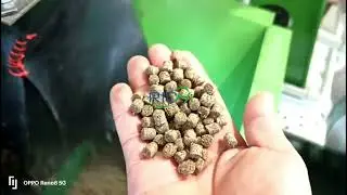 Complete Pet Food Production Line | Extrusion Technology for Premium Pet Feed