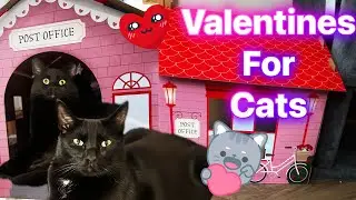 VALENTINES CAT POST OFFICE