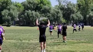 UC Davis 40 yard TD