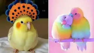 Smart And Funny Parrots Parrot Talking Videos Compilation (2026) - Cute Birds #2