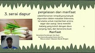 Menjelaskan 5 tanaman obat beserta manfaatnya 