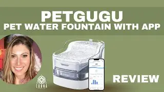 Petgugu Pet Water Fountain with App 2L Cat Water Fountain Wireless Pump 8 Layers Filtration REVIEW