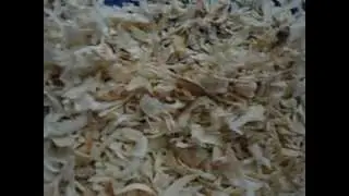color sorter Color sorting machine Dehydrated onion flakes