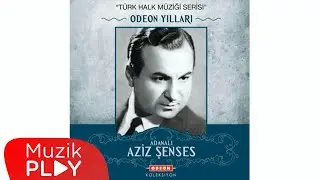 Aziz Şenses - Ala Geyik Gibi (Official Audio)