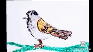 how to draw a bird || easy oil pastel drawing for be...