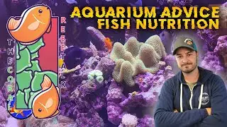 Aquarium Advice Fish Nutrition with Shoomie's Reef