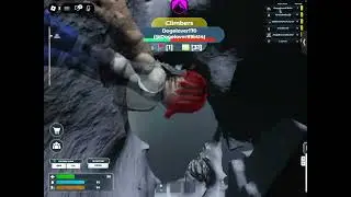 Mount Everest fall