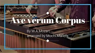 Ave verum Corpus on Marimba (2 players)