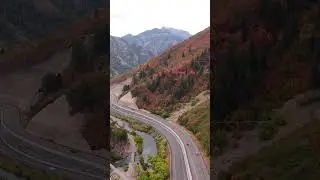 Bloom Relaxation Music #Relaxing_music #Nature #sleepmusic #Shorts