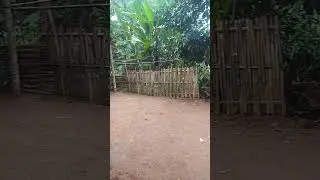 Susana pagi kampung halaman