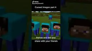 Minecraft Cursed Images #4