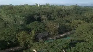 Tello Nature Cinematic Shot