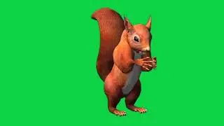 squirrel movements no copyright