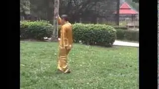 形意十二形 Xingyi 12 Animal-Forms