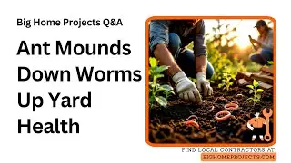 Fewer Ant Mounds Earthworm Return Yard Health Signs