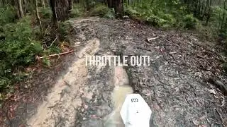 Watagans August 2025 - Wet Wet Wet