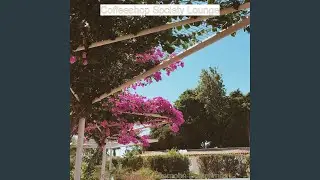 Bubbly Ambience for Cooking