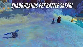 CozyAzeroth: Shadowlands Pet Battle Safari, Part 1 (World of Warcraft Live Stream)