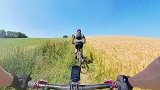 Limburg 200