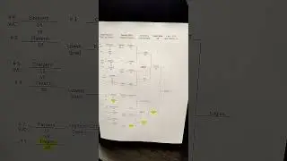 Playoffs Brackets 2024 review. Go birds #eagles