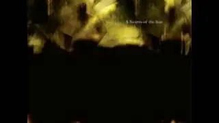 A Swarm of the Sun: Refuge