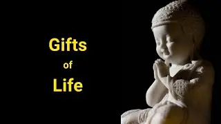 ☑️ Gifts of Life ☑️ Motivational Positive Wisdom Quotes ☑️ by INSPIRING INPUTS