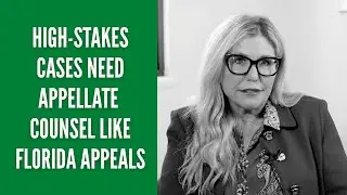 Appellate Counsel for Complex Business & Commercial Litigation | Florida Appeals & the Lanham Act