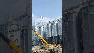 The customer invested more than 20 steel plate silos at once to store grain #silo #grainsilo