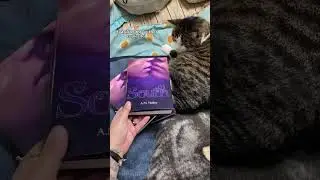 I mean look at that cover. It&rsquo;s gorgeous 🥰🏳️&zwj;🌈 #booktube #booktok #authortube